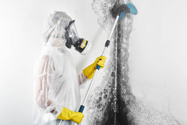Best Air Quality Testing for Mold Spores  in Mansura, LA