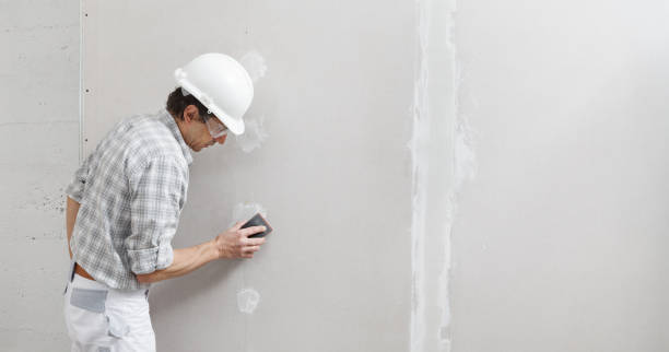 Best Airborne Mold Testing  in Mansura, LA
