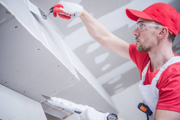 Best Crawl Space Mold Remediation  in Mansura, LA